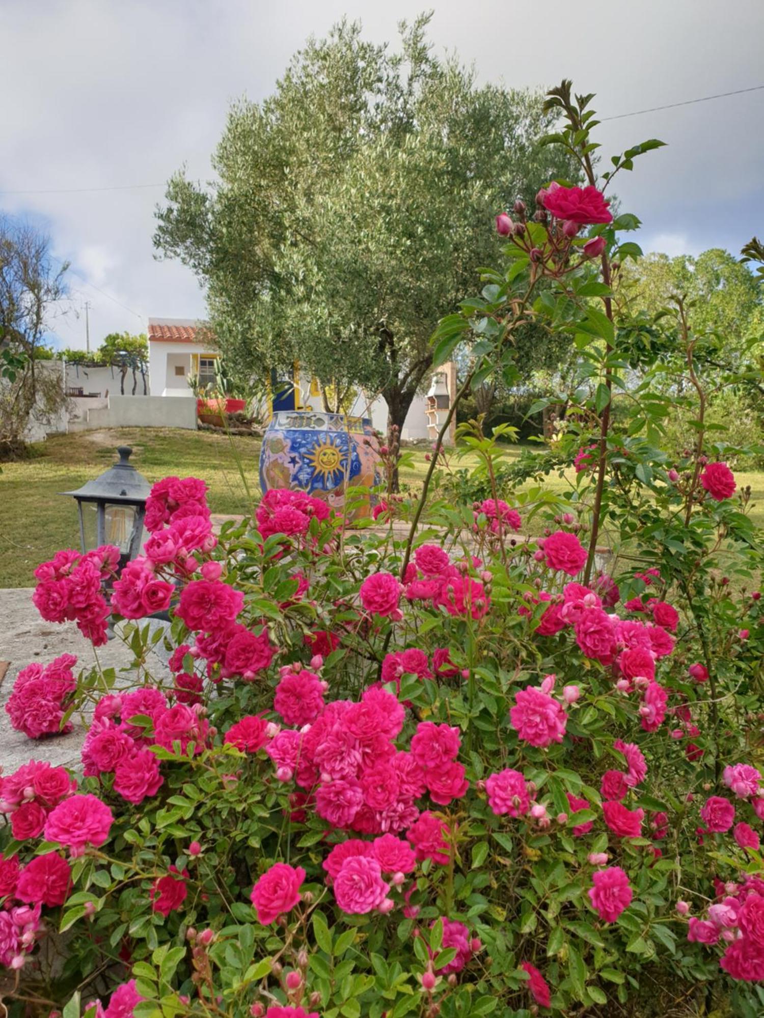 Sondela Self Catering Apartment Sao Martinho do Porto Exterior photo